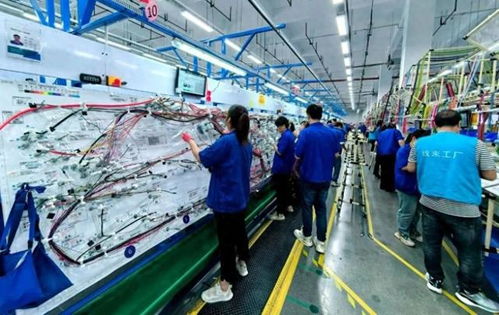 商洛高新區(qū)弗迪科技線束工廠四期投產 環(huán)保科技賦能汽車產業(yè)高質量發(fā)展